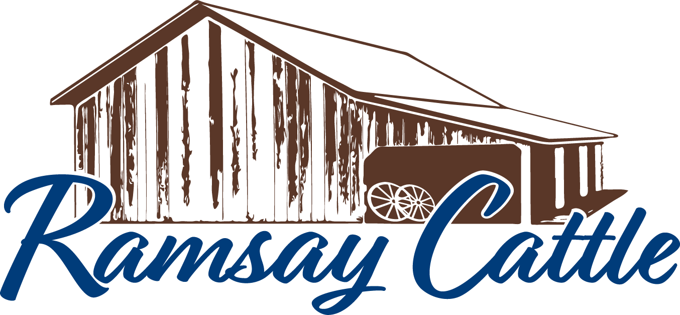 Ramsay Cattle Co
